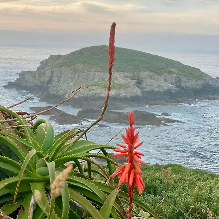 El Puerto